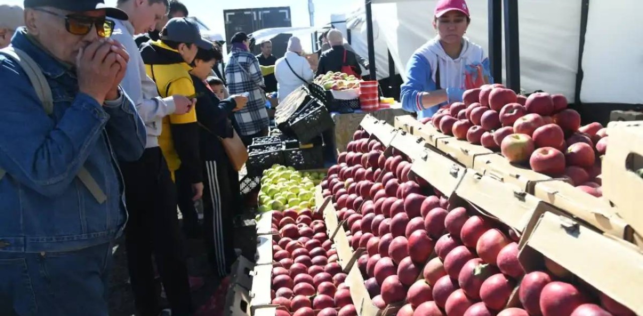 Астанадағы жәрмеңкеге үш облыс 350 тоннаға жуық өнім әкеледі