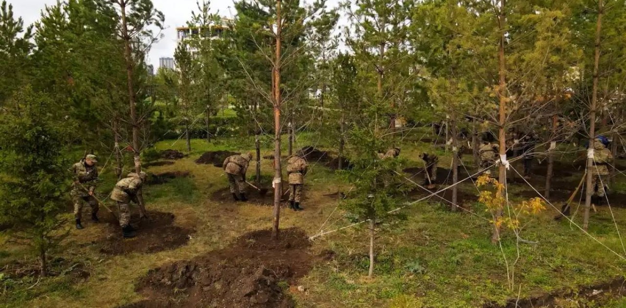 «Таза Қазақстан»: елордада күзгі көгалдандыру жұмыстары басталды