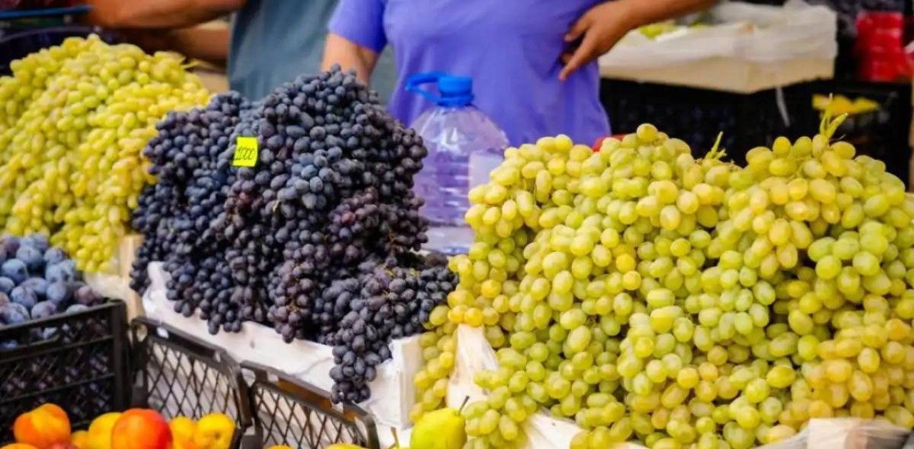 Астанадағы жәрмеңкеге Түркістан облысының шаруалары 600 тоннадан астам өнім әкелді