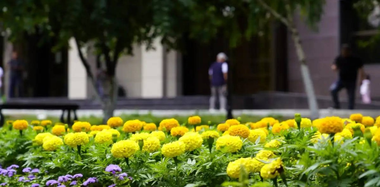 Астанада Конституция күні қарсаңында жаңа гүлзар ашылды