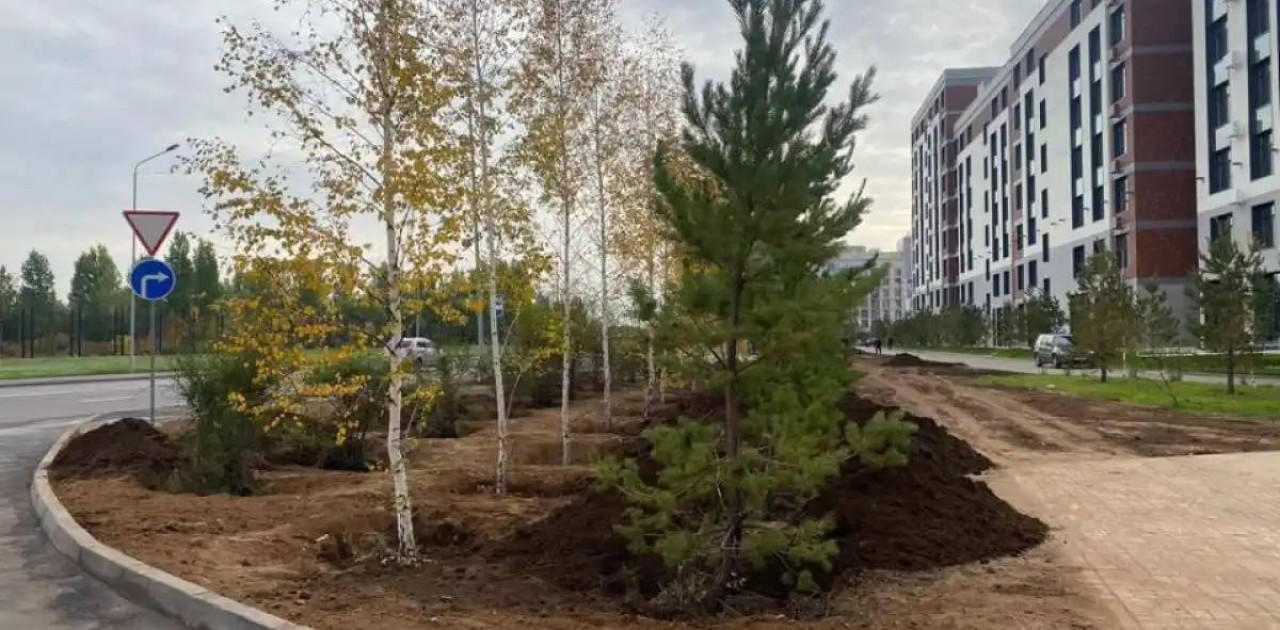 Жыл соңына дейін елорданың Алматы ауданында 6 мыңнан астам ағаш отырғызылады