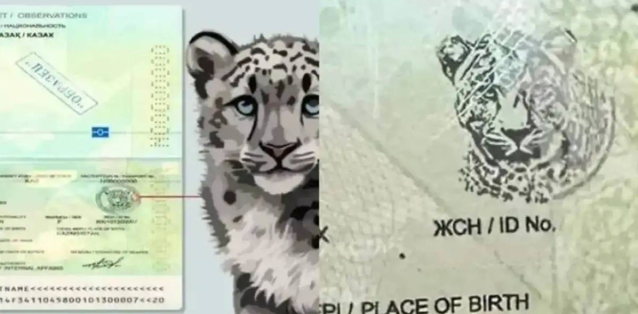 Қазақстанда барыс бейнесі бар жаңа қорғаныш элементі енгізілген паспорттар беріліп жатыр