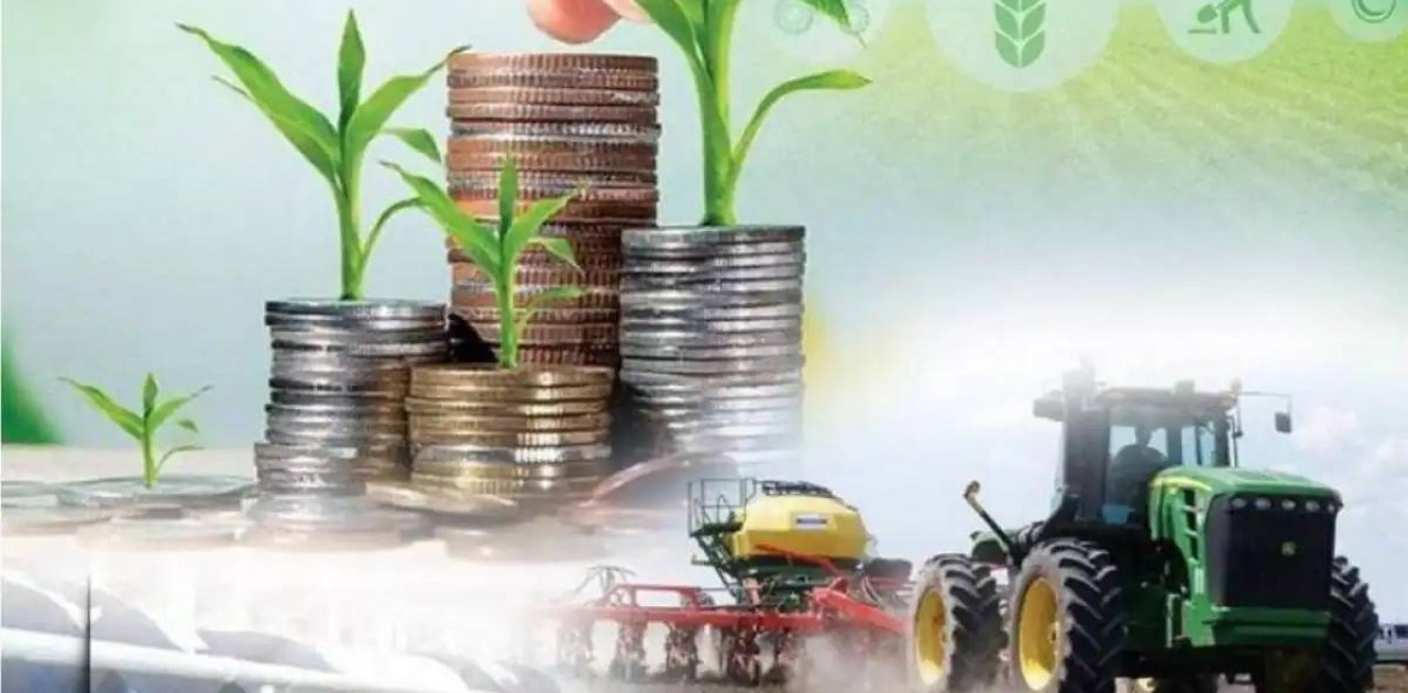 Елімізде ауыл шаруашылығы өнімінің көлемі 4%-ға өсті