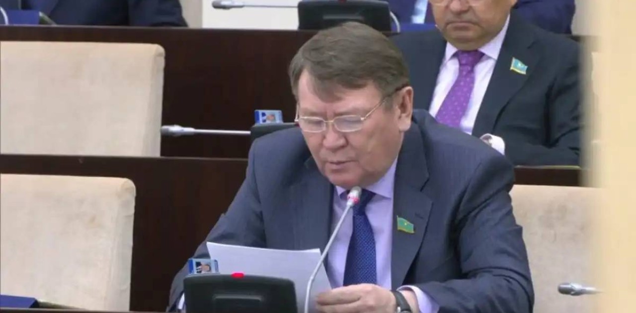 Жыл сайын барлық өндірілген жүн көлемінің тек қана 17%-ы өңделеді - депутат