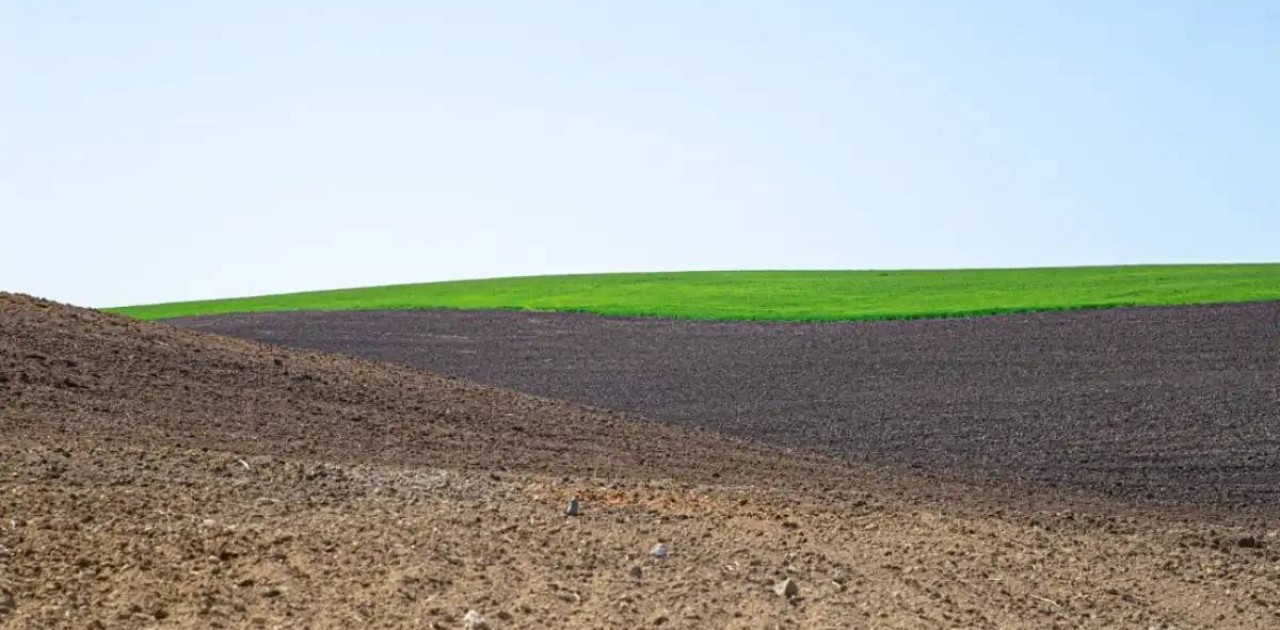 Мемлекет меншігіне 13,7 млн гектар жер қайтарылды