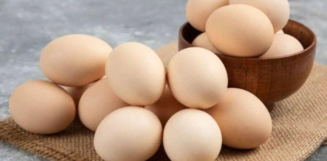 Елімізде жұмыртқаны терең өңдейтін зауыт салынады