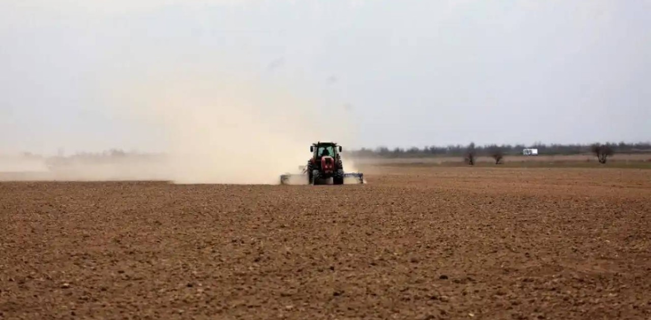 Қазақстанның оңтүстік өңірлерінде көктемгі егіс науқаны аяқталуға жақын