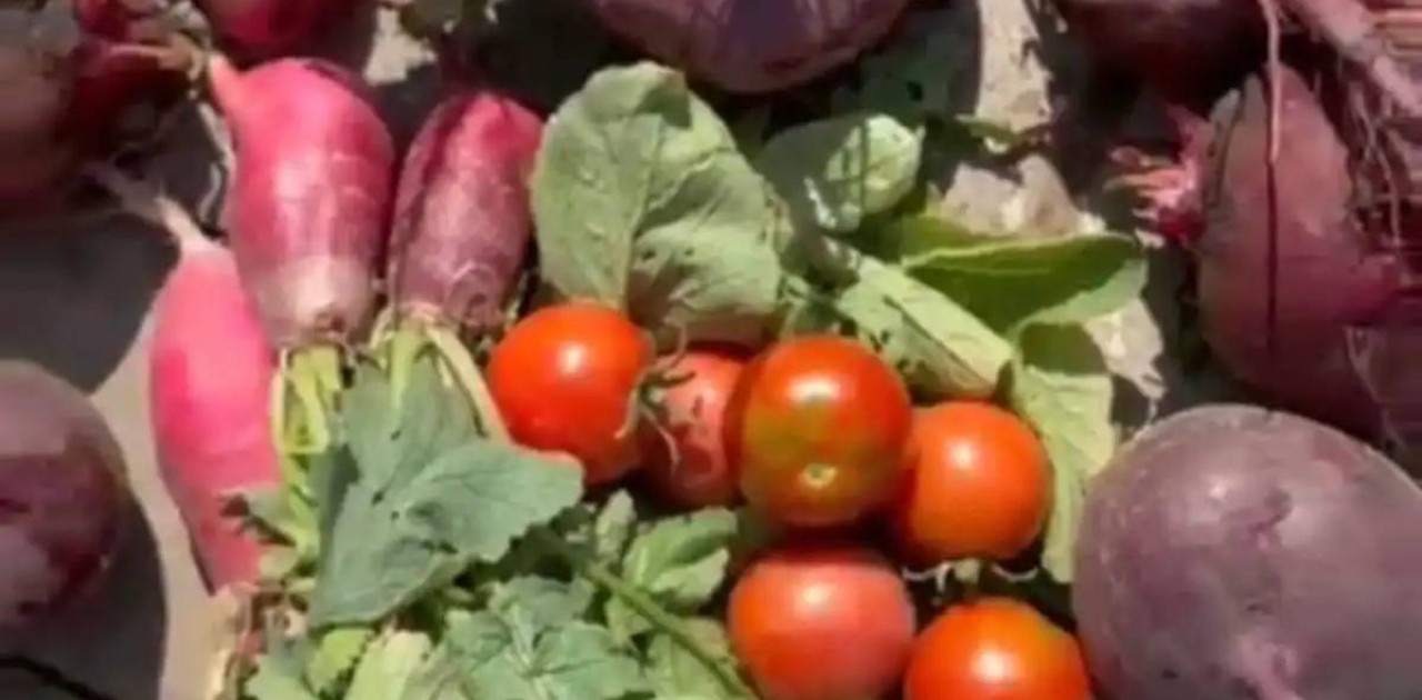 «Таза Қазақстан»: елордада мектеп жанынан экологиялық бақ ашылды