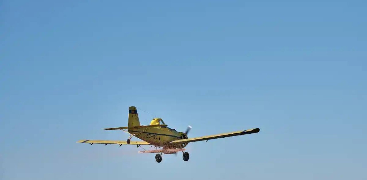 «Арнайы рұқсаты жоқ»: елімізде жеті жеңіл ұшақтың ұшуы уақытша тоқтатылды