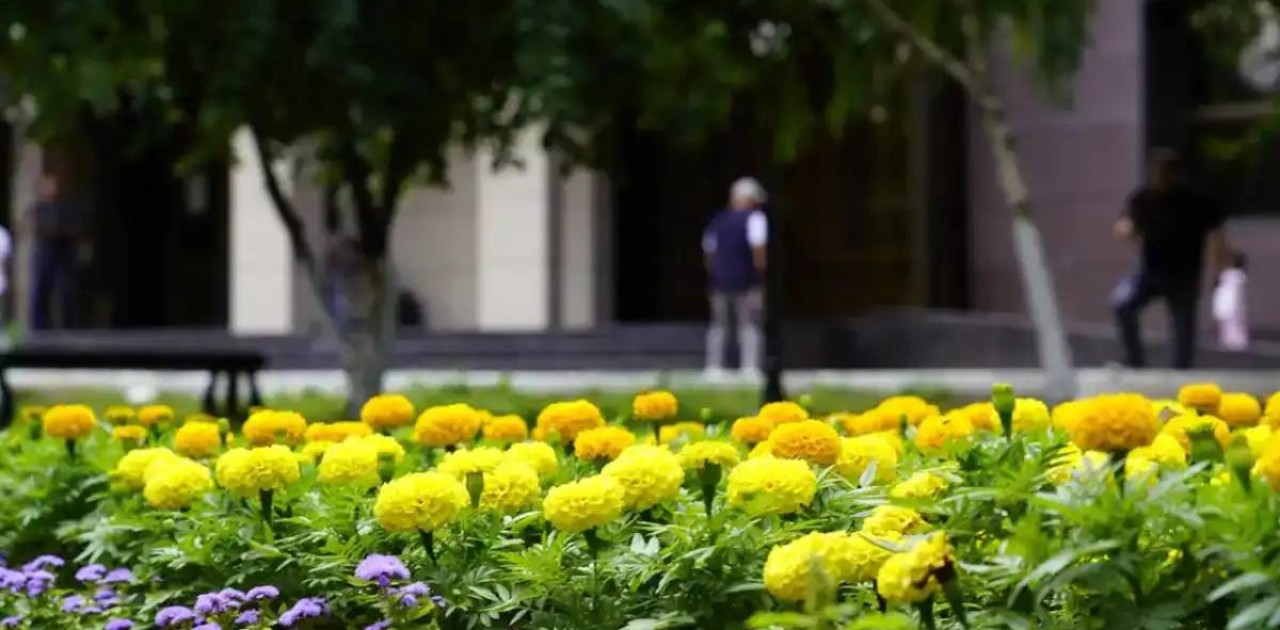 Тамыз айының соңғы күндері ауа райы қандай болады