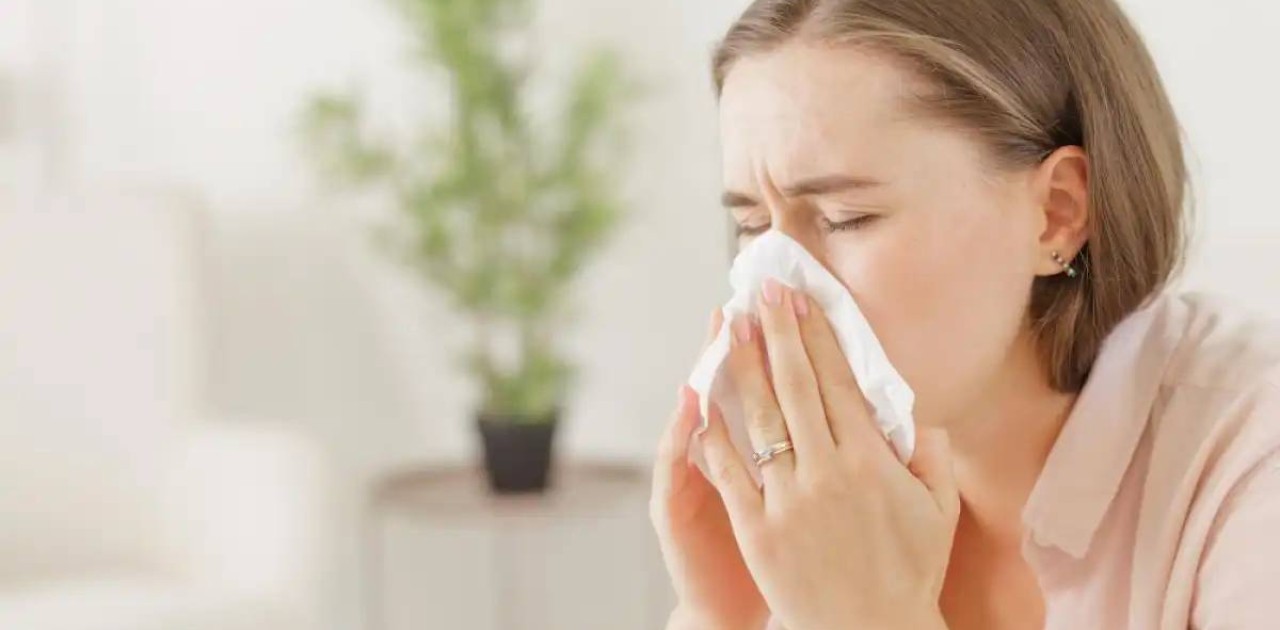 Аллергиялық ринит неден пайда болады