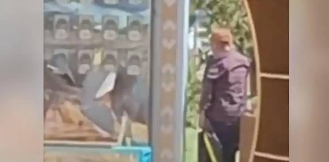 Астанада Абайдың нақыл сөздері жазылған стендті бүлдірген ер адам қамауға алынды