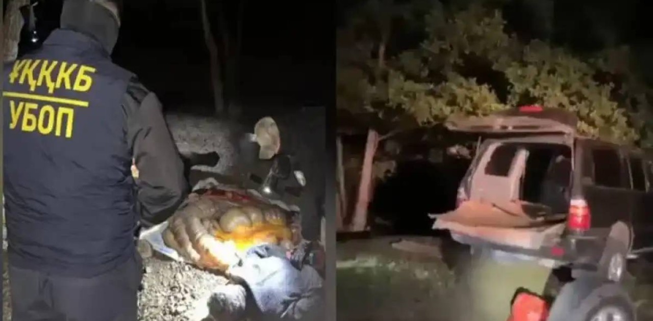 Ақтөбе облысында полицейлер мал ұрлығына күдіктілерді қылмыс үстінде ұстады