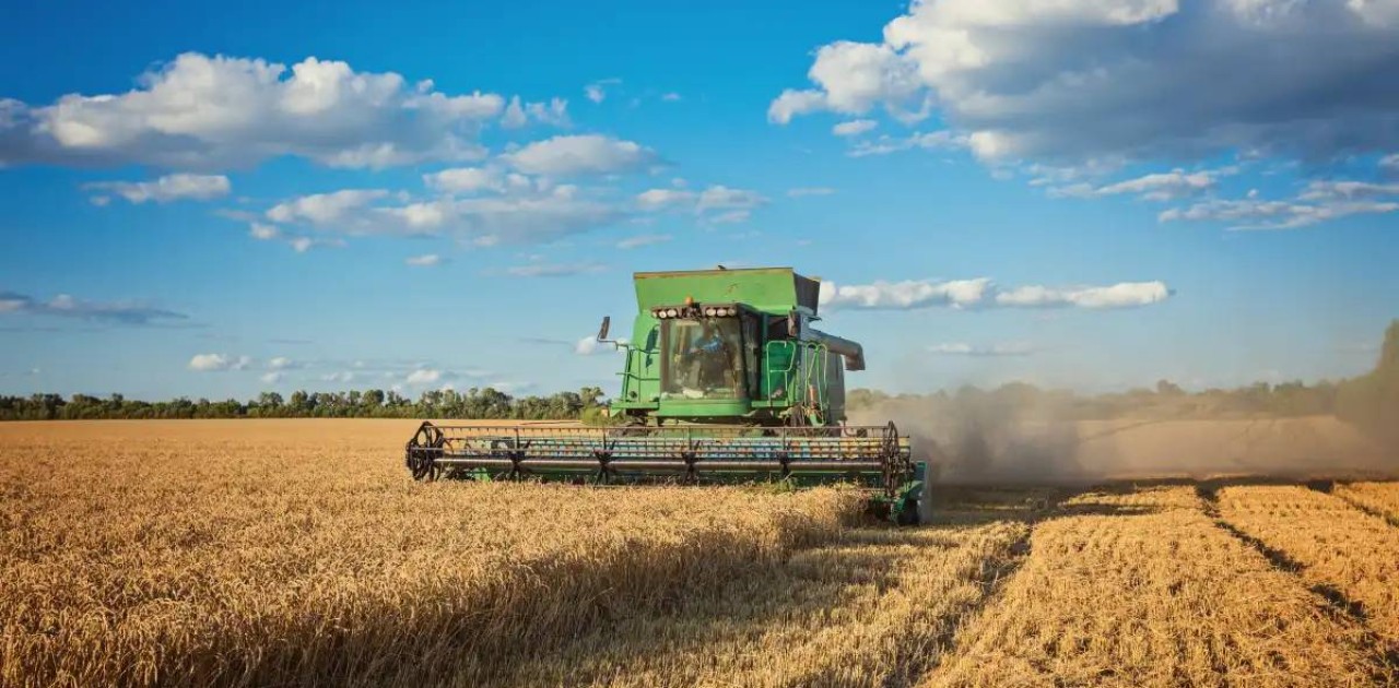 СҚО-да 4,3 млн га ауыл шаруашылығы дақылдары жиналады