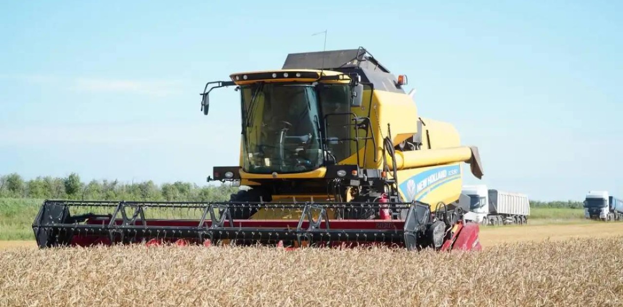 Ақмола облысының екі ауданында күздік дақылдарды жинау аяқталды