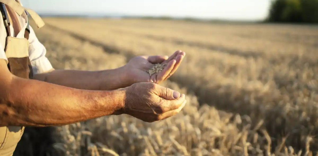 Жеңілдетілген несиелеу бағдарламасы: 7,5 мыңға жуық шаруа қаржыландырылды