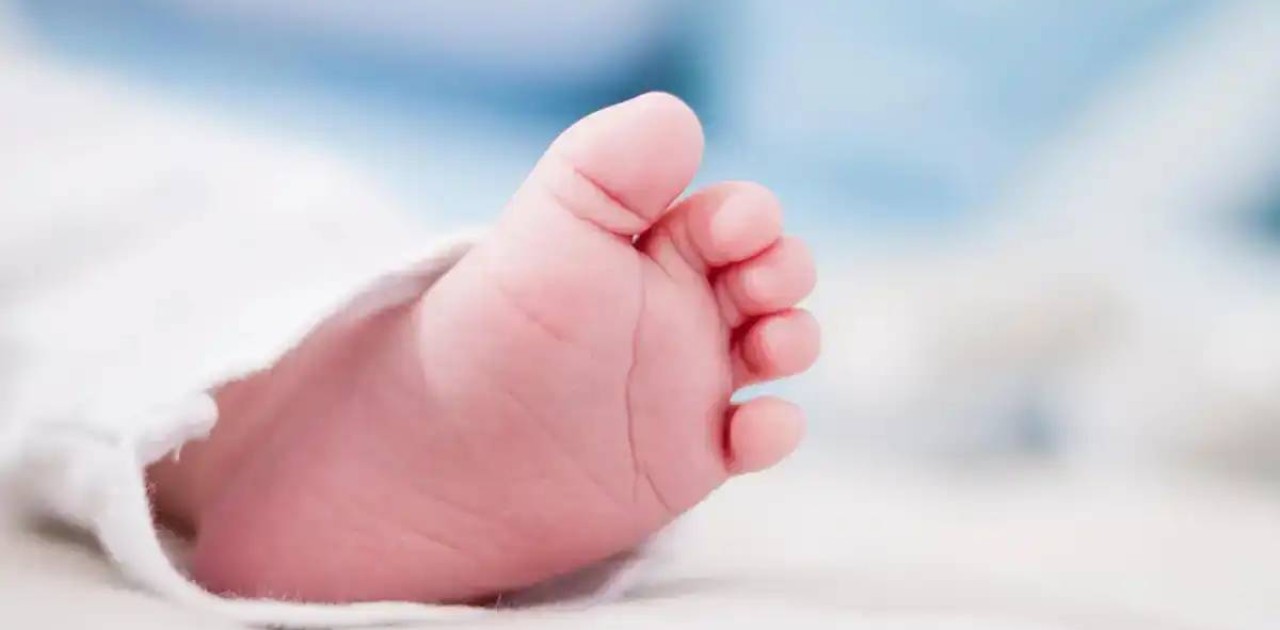 Елімізде ұрықтағы туа біткен жүрек кемістігінің 74 пайызы бала туғанға дейін анықталады