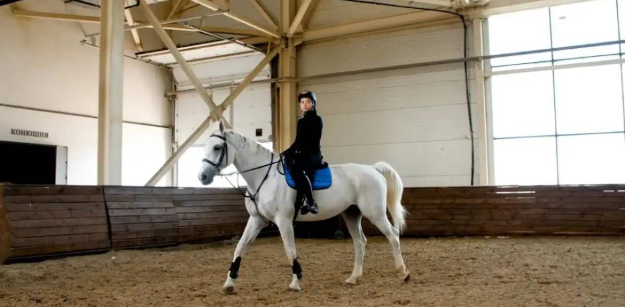 Елордалық спортшылар конкурдан халықаралық жарыста 33 медаль жеңіп алды