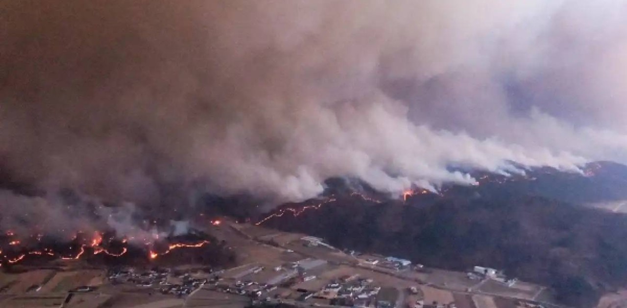 Кореяда орманды қасақана өртеген күдікті ұсталды