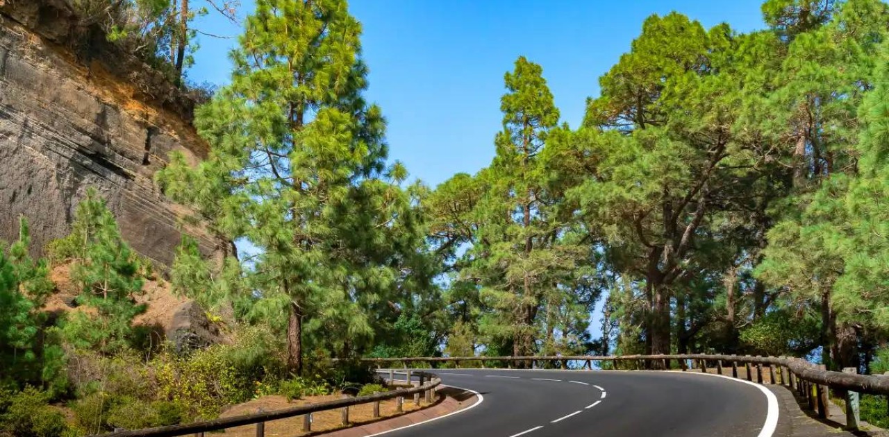 «Өскемен-Рахман қайнары» автожолының бір бөлігінде қозғалысқа шектеу енгізіледі