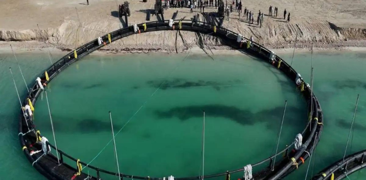 Каспий теңізінде Орталық Азиядағы алғашқы теңіз аквашаруашылық жобасы іске қосылды
