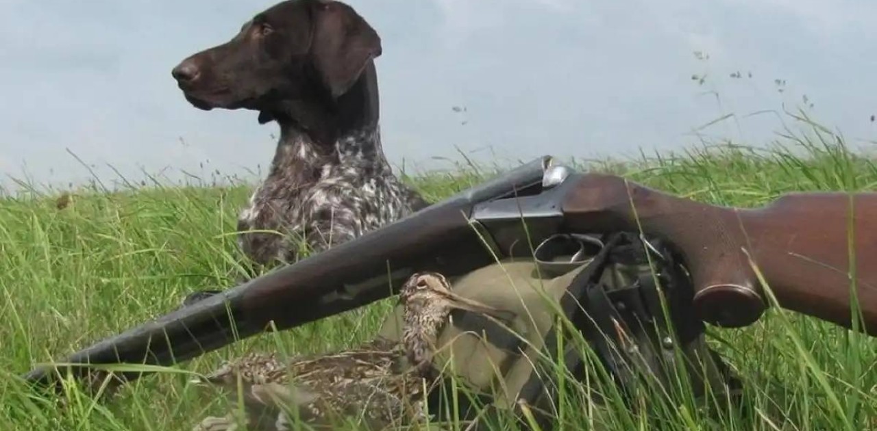Күзгі-қысқы аңшылық маусымы басталады: нені есте ұстау қажет