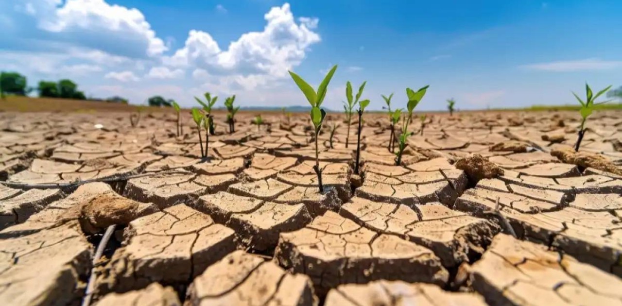 Жаздың соңында оңтүстік өңірлерде құрғақшылық болуы мүмкін