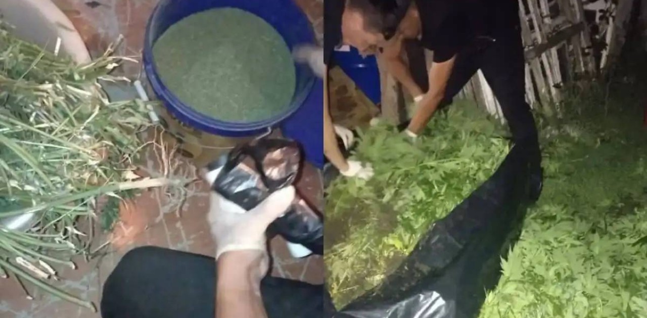 Ақтөбеде ауыл тұрғынынан 56 келі марихуана тәркіленді