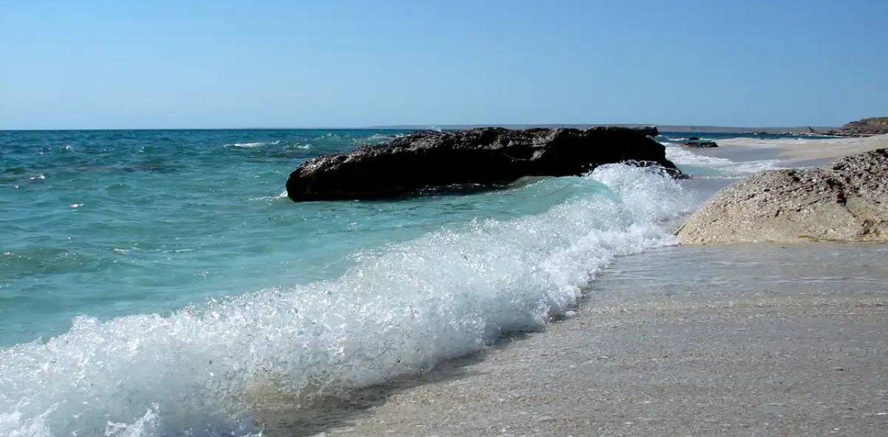 «Құстар теңізді жаяу кешіп жүр»: депутат Каспий теңізінің жағдайы қиын екенін айтты