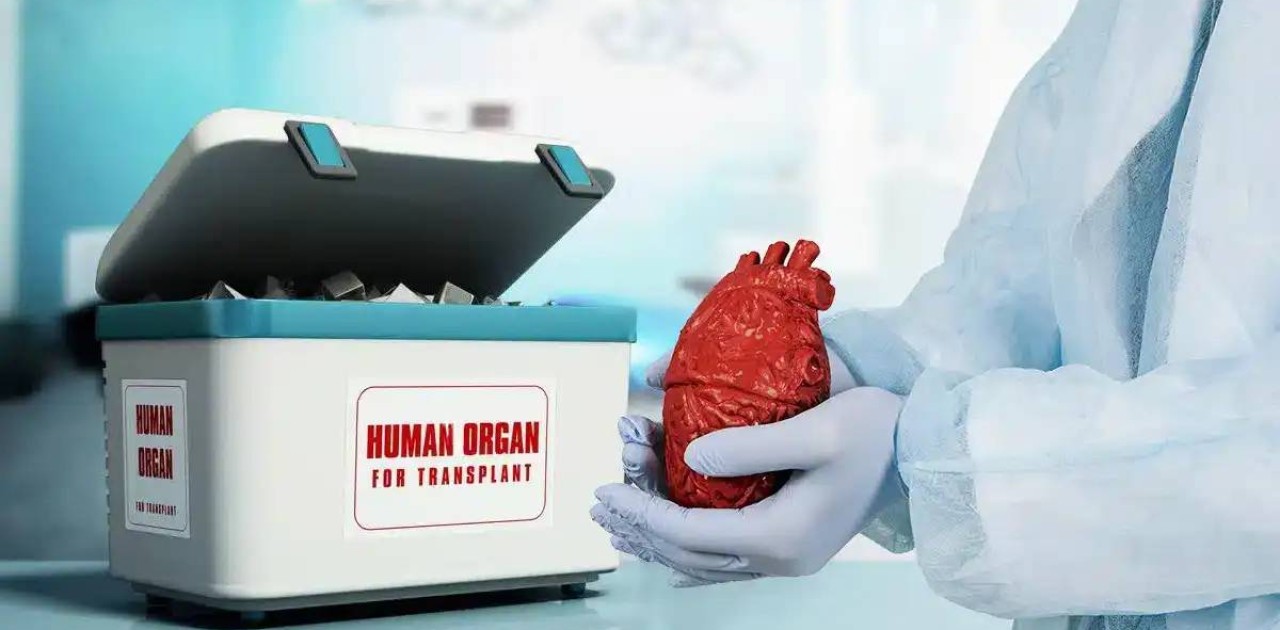 Қазақстандағы донор тапшылығын қалай шешуге болады