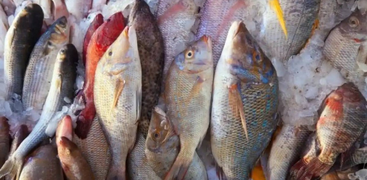 Қазақстаннан Еуропа елдеріне 5 мыңға жуық тонна балық заңсыз экспортталған