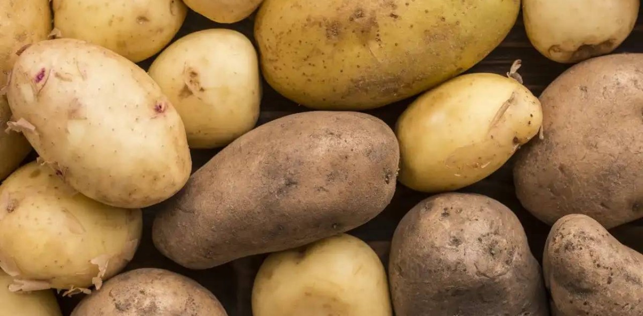 Картоп бағасын негізсіз көтергендерге айыппұл салынды