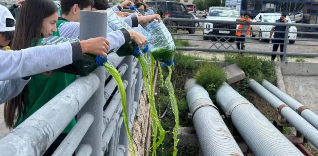Астанада Сарыбұлақ арнасын тазарту бойынша экоакция өтті