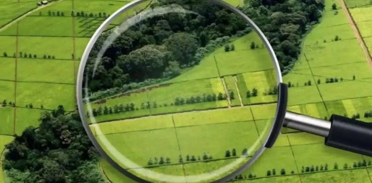 Жетісу облысында 100 миллион теңгенің жері мемлекет меншігіне қайтарылды