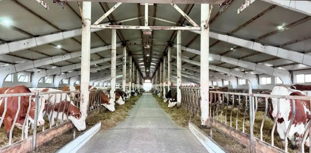 Қазақстанда шаруалар үшін жеңілдікпен несие беру іске қосылады