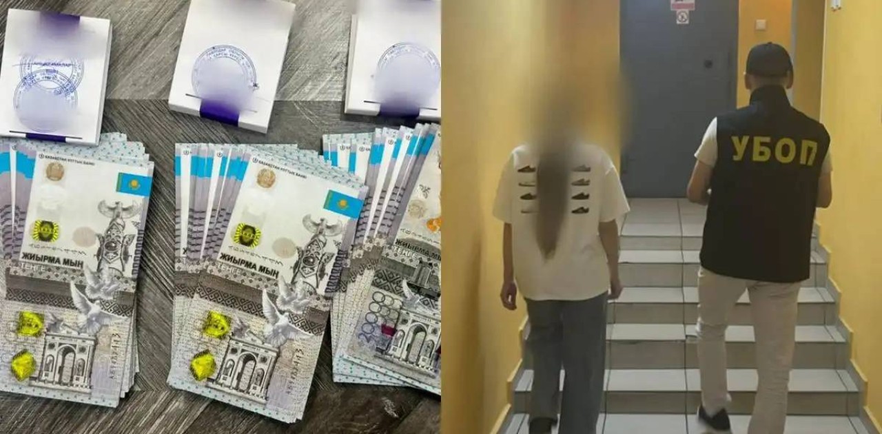 Павлодарда бүйрегін сатпақ болған шетелдік әйел ұсталды