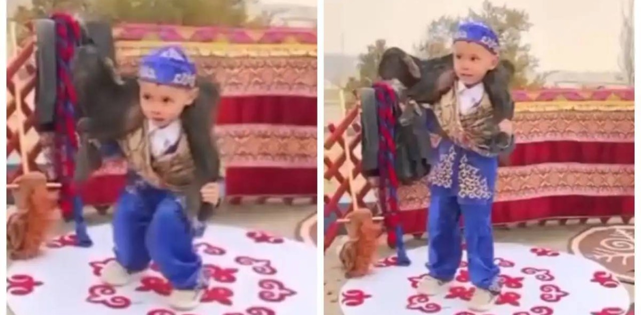 Қозыны 30 рет көтерген төрт жасар балдырған жұртты тәнті етті (ВИДЕО)