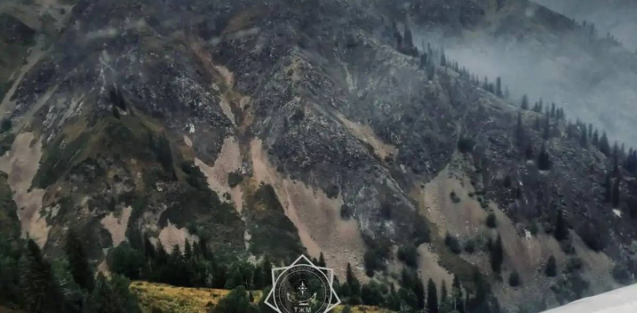 Жетісу облысындағы орман өрті өшірілді (ВИДЕО)