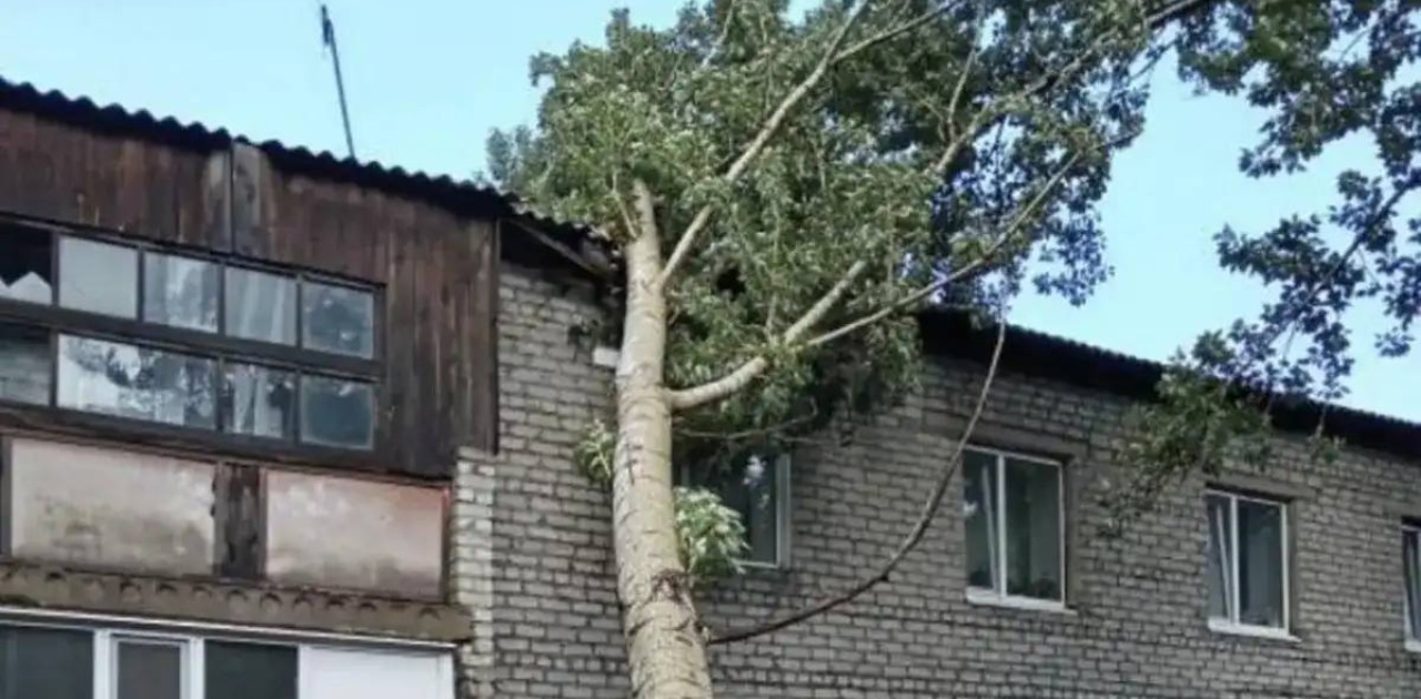 Павлодар облысында болған қатты дауыл салдарынан бір адам қайтыс болды