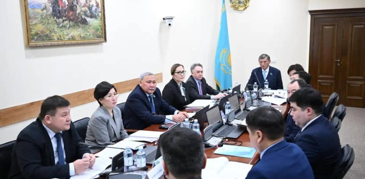 Сенатта балаларға білім беруге арналған «Келешек» жинақтау жүйесі талқыланды