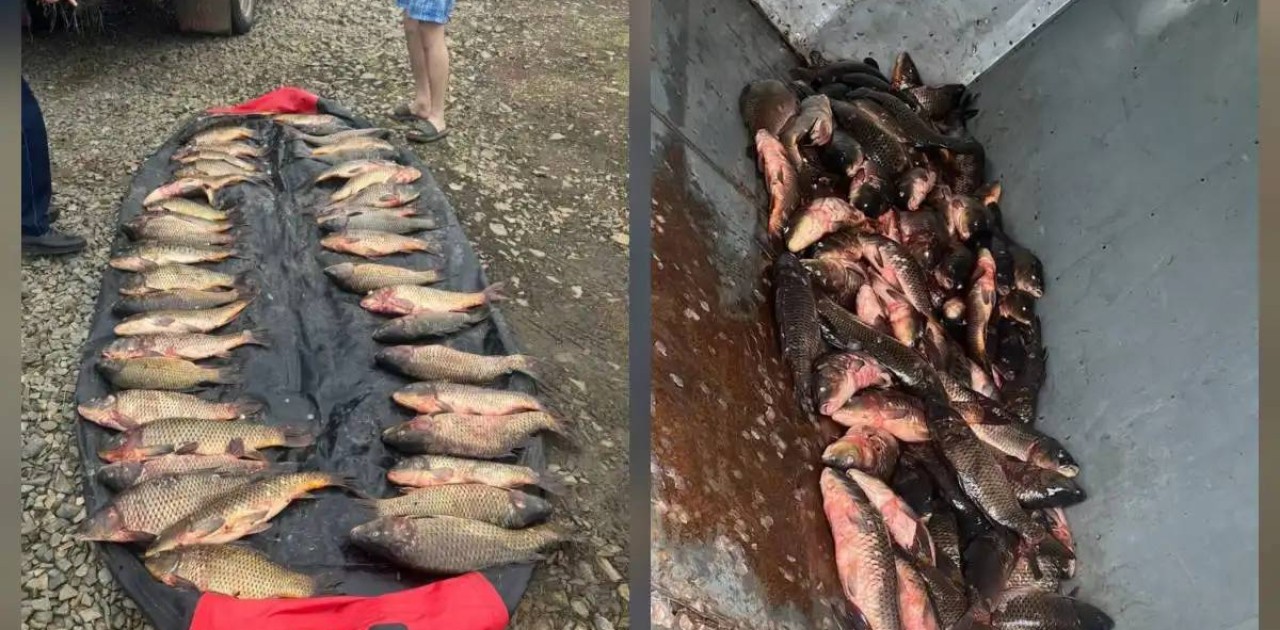 «Бурабай» ұлттық паркінде заңсыз балық аулаған браконьерлер ұсталды