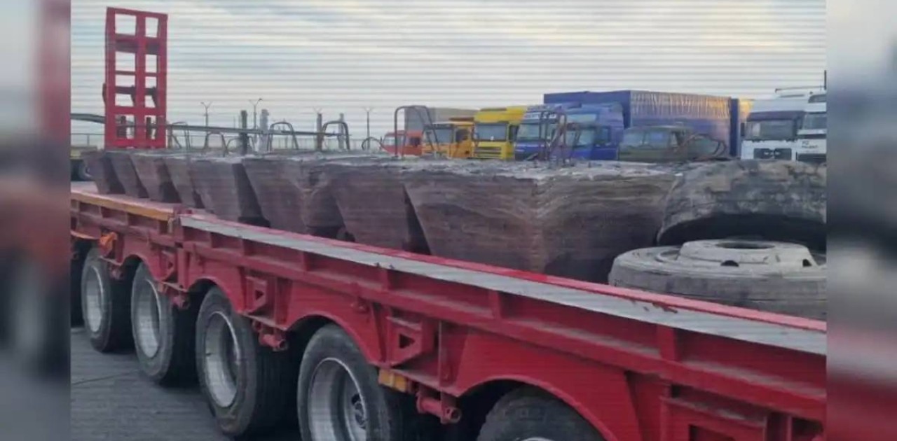 Шетелге стратегиялық маңызды шикізатты заңсыз әкету әрекеттері тоқтатылды