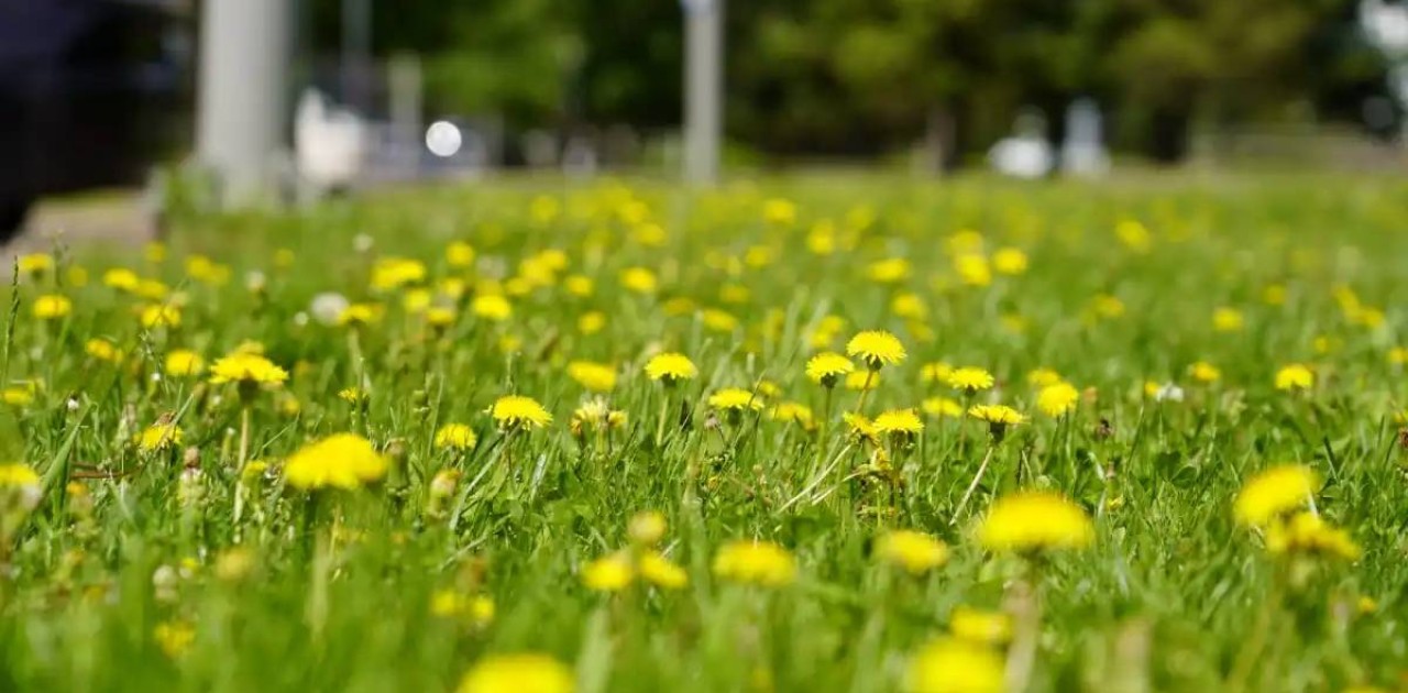 Маусым айында ауа райы қандай болады