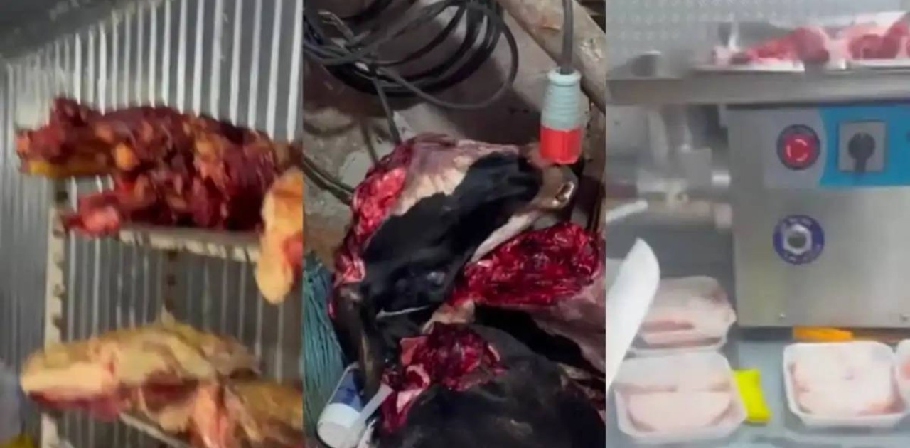 Елордада жасырын ет цехтары анықталды