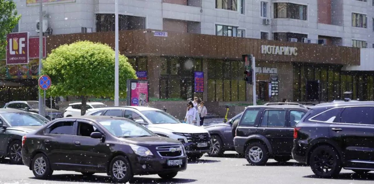 Елімізде көлік саны 6 миллионнан асты