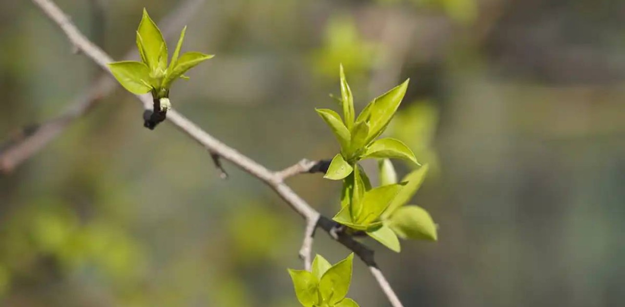 Еліміздің басым бөлігінде өрт қаупі болжанды
