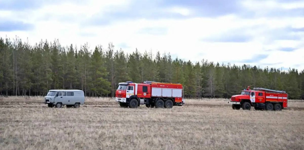 Абай облысындағы өрттен 400 гектар орман алқабы жанып кеткен