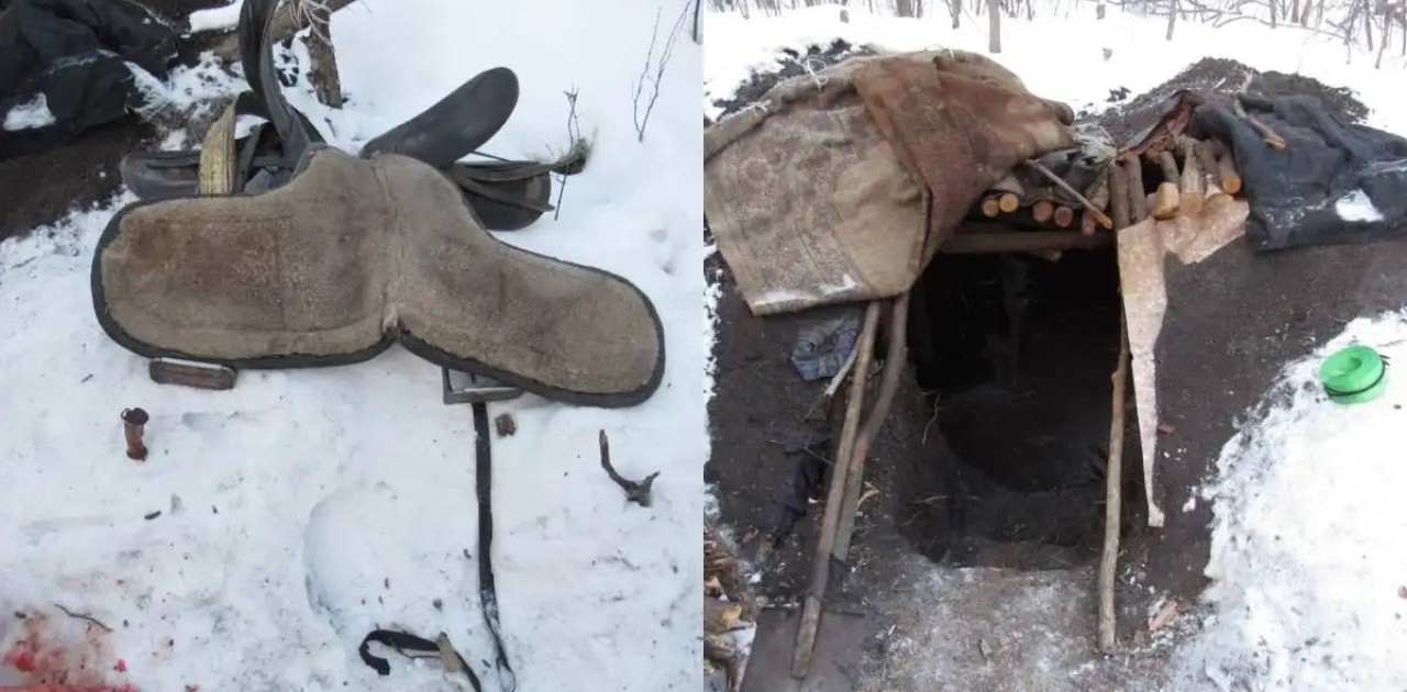 СҚО-да жылқы ұрлаған тұрғын орманда жасырынған