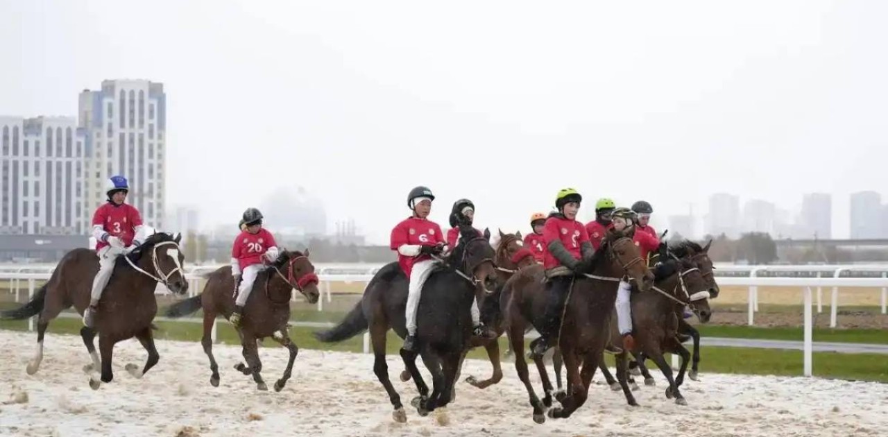 2024 жылы ат спортында қандай жетістіктер тіркелді