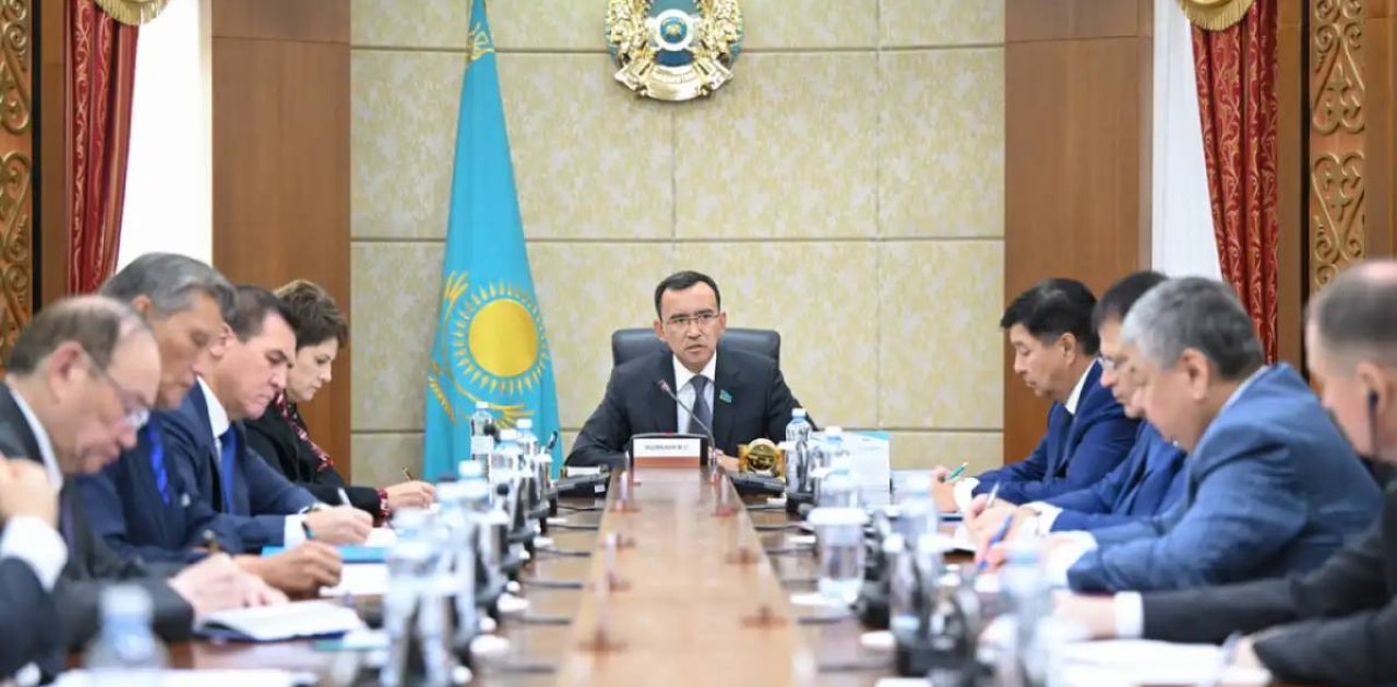 Сенатта референдумға дайындық барысы талқыланды